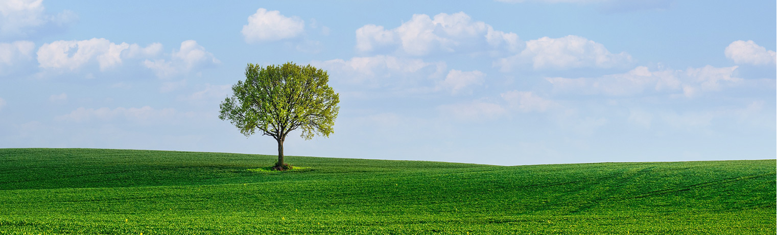 BCF紡絲試驗機(jī)，BCF紡絲試驗機(jī)那家生產(chǎn)，BCF紡絲試驗機(jī)優(yōu)質(zhì)生產(chǎn)商，山東BCF紡絲試驗機(jī)廠家， 淄博方辰機(jī)械科技有限公司